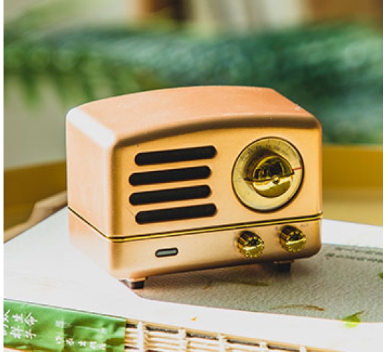 智能蓝牙音箱Ⅰ